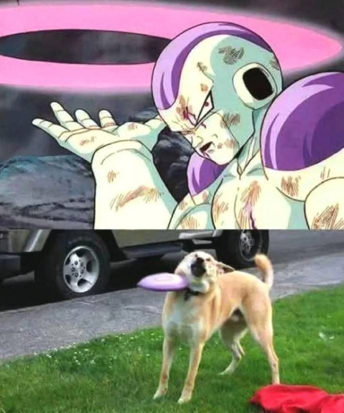 3DMһ̵1560 Ůˣ