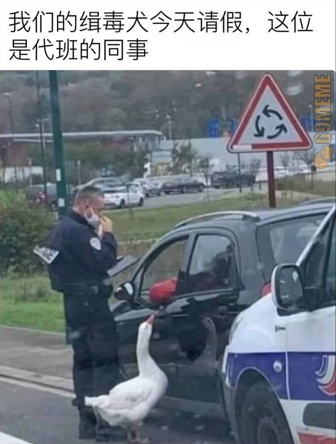 3DMһ̵1561 һֺʡǮİ