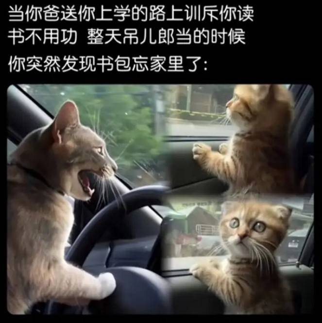 3DMһ̵1561 һֺʡǮİ