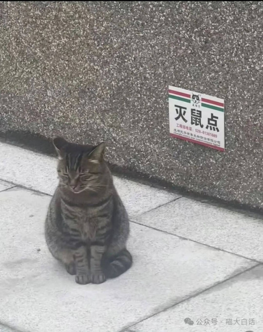 周五福利囧图云飞系列 美女翘臀真有这么Q弹吗？