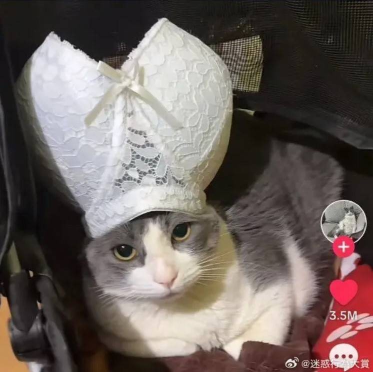 周五福利囧图云飞系列 美女翘臀真有这么Q弹吗？