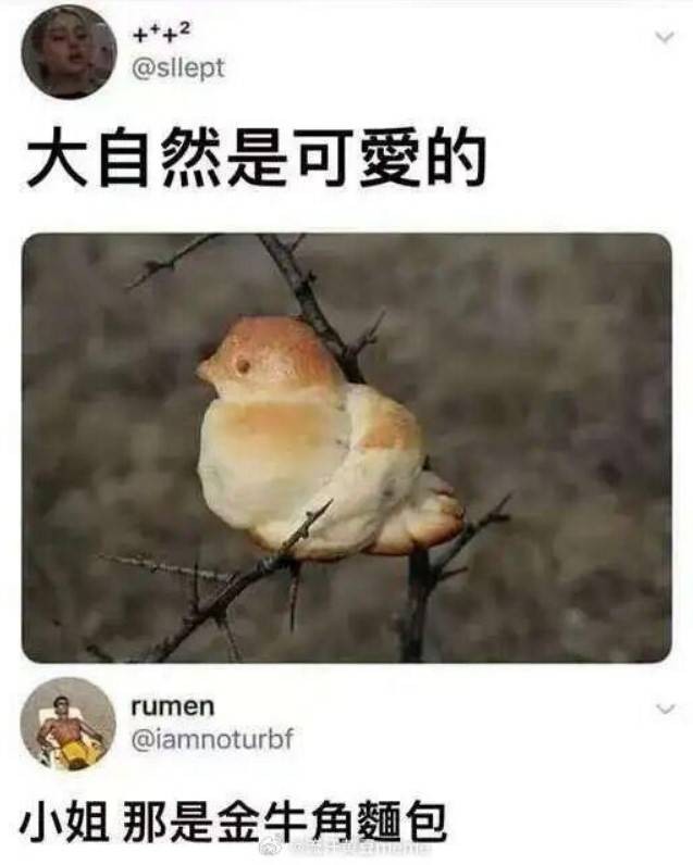 轻松一刻第1562期 来尝尝姐姐的最强杀招吧！