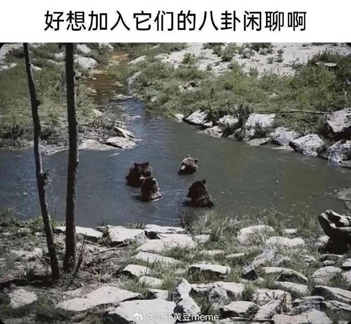 轻松一刻第1562期 来尝尝姐姐的最强杀招吧！