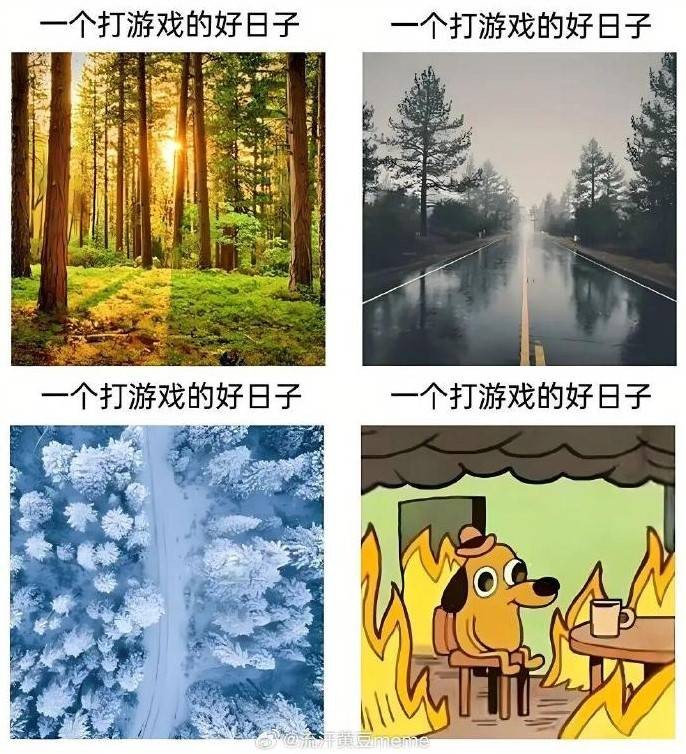 轻松一刻第1562期 来尝尝姐姐的最强杀招吧！