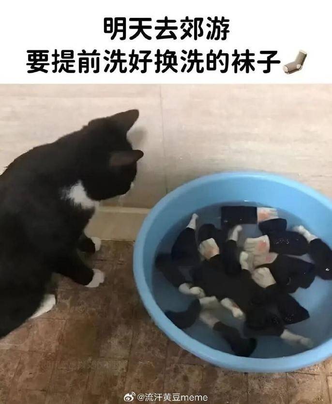 轻松一刻第1562期 来尝尝姐姐的最强杀招吧！