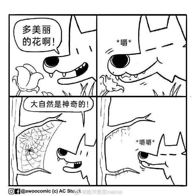 轻松一刻第1562期 来尝尝姐姐的最强杀招吧！