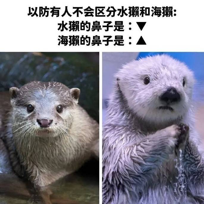 3DMһ̵1562 ǿɱаɣ
