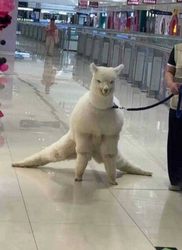 һںͼƷϵ ӺȾæ