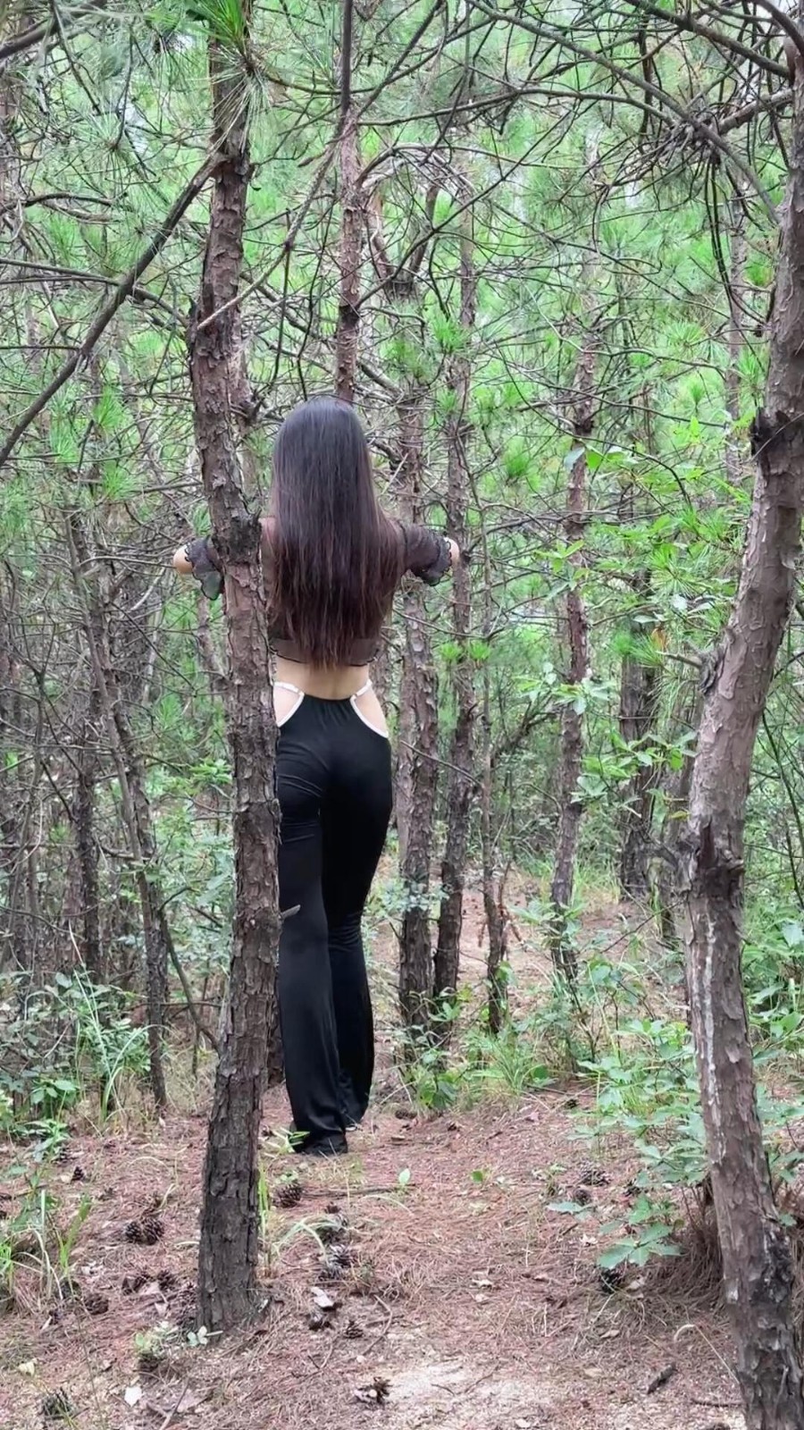 һںͼƷϵ ӺȾæ