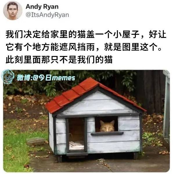3DMһ̵1564 Ůһ٤ͦз