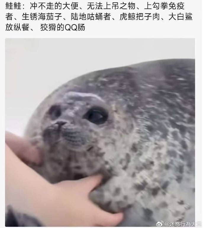 3DMһ̵1565 欶̫ˣ