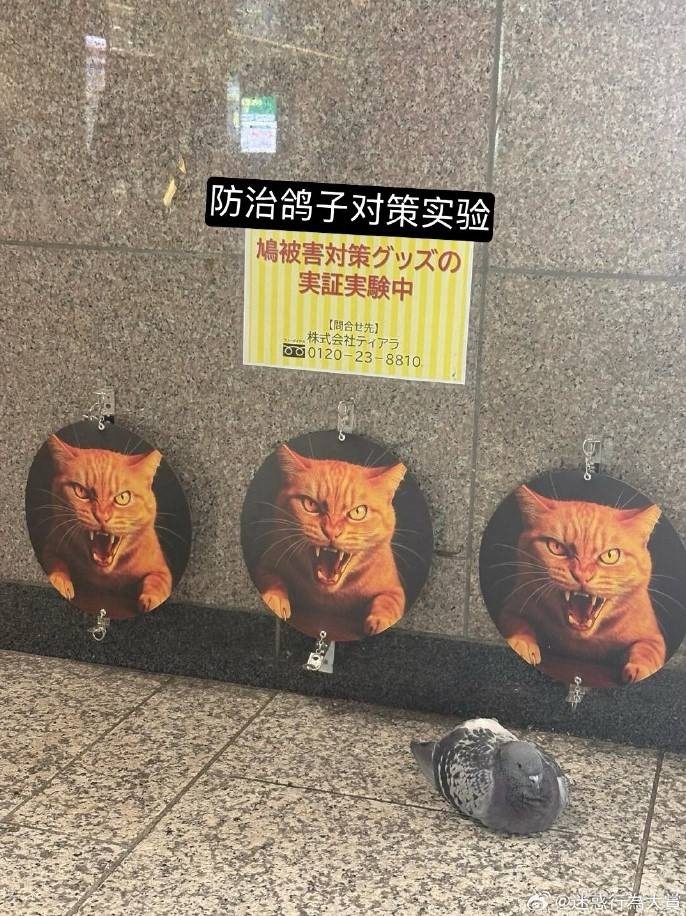 3DMһ̵1565 欶̫ˣ