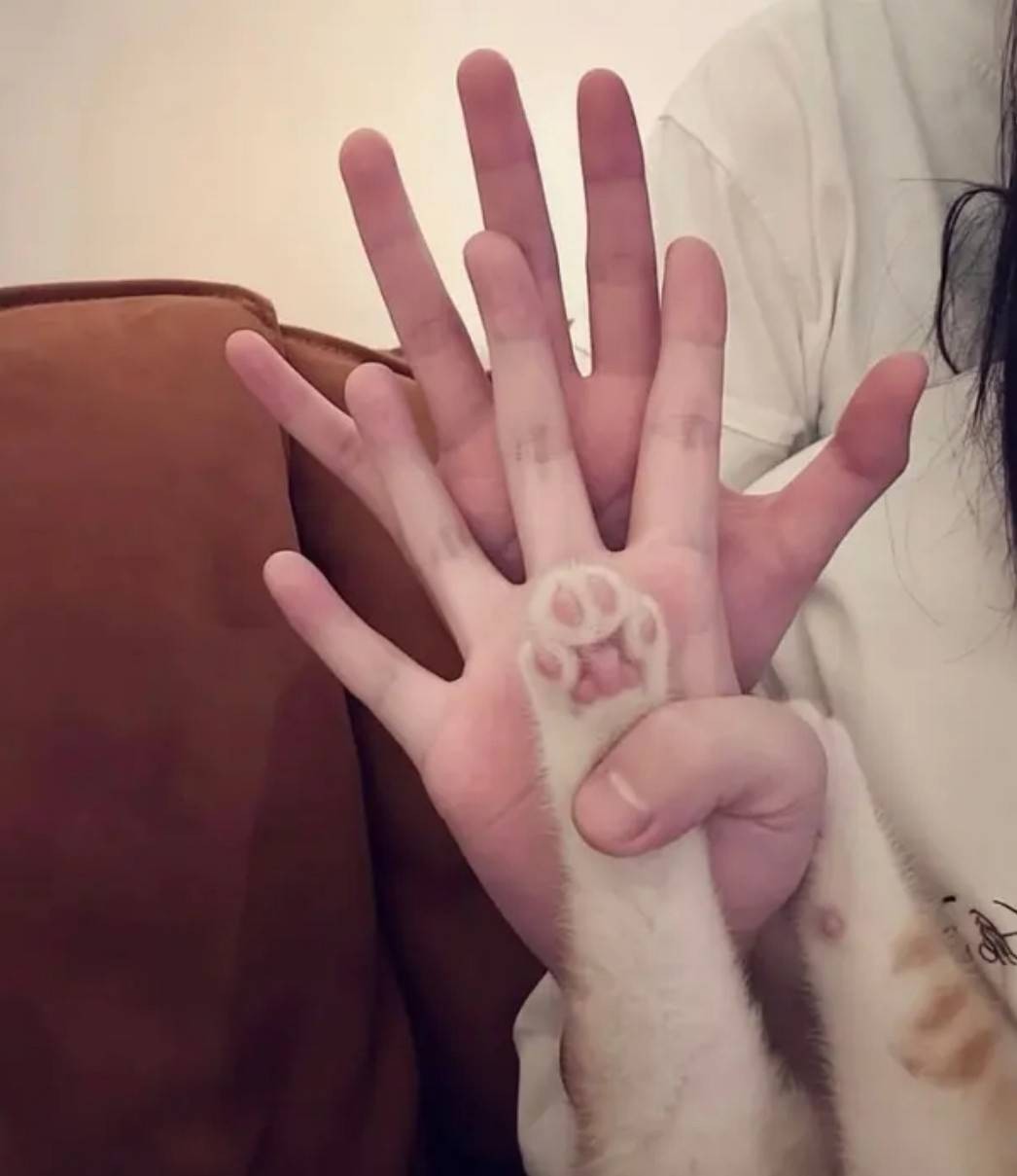 周五福利囧图云飞系列 台球厅女老板都这么好看么