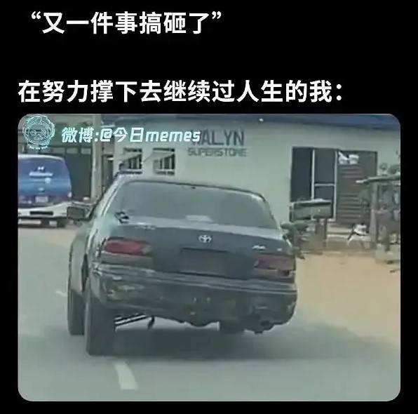 轻松一刻第1567期 这妖娆的舞姿谁看了不迷糊