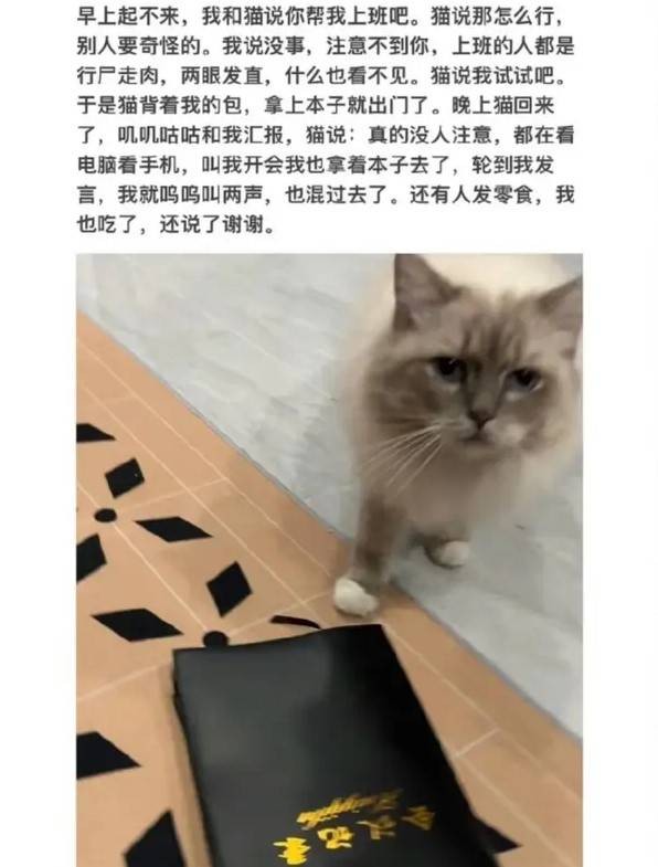 轻松一刻第1567期 这妖娆的舞姿谁看了不迷糊