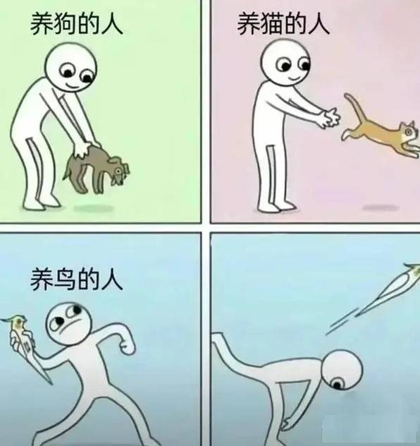 轻松一刻第1567期 这妖娆的舞姿谁看了不迷糊