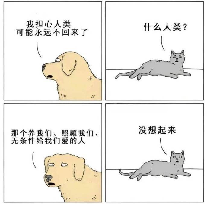 3DMһ̵1567 欵˭˲Ժ