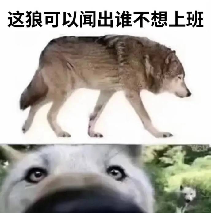 3DMһ̵1568 Ҳ˷Ҳ