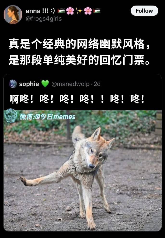 3DMһ̵1569 ϲӴ۾ǲ۾