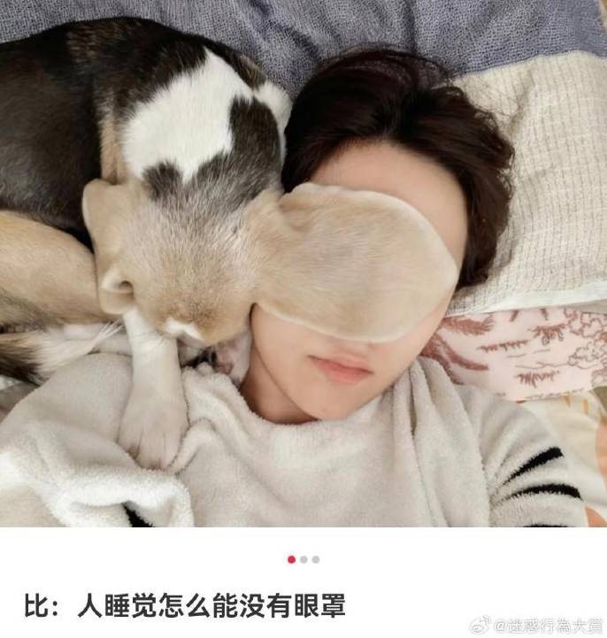 3DMһ̵1569 ϲӴ۾ǲ۾