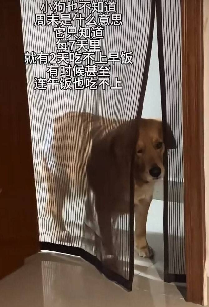 3DMһ̵1569 ϲӴ۾ǲ۾