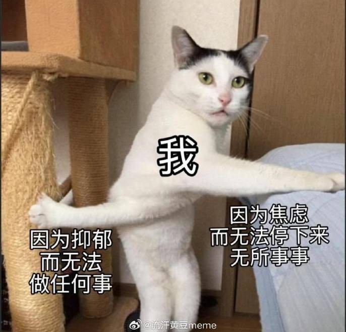 3DMһ̵1569 ϲӴ۾ǲ۾