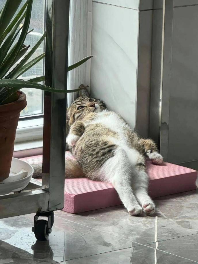 3DMһ̵1570 ûȥֿŮͦõ