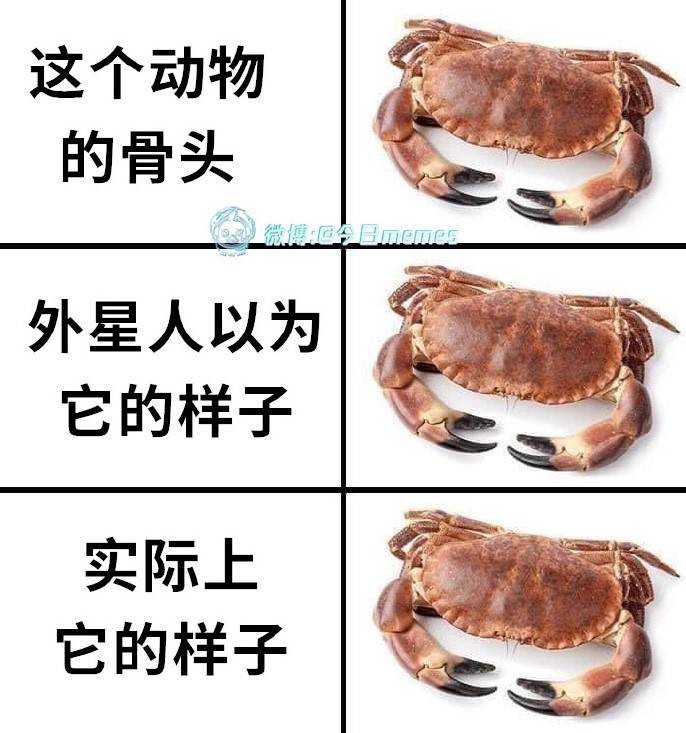 3DMһ̵1571 ﳵֻôĵӰ