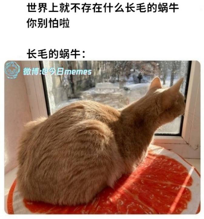 3DMһ̵1571 ﳵֻôĵӰ