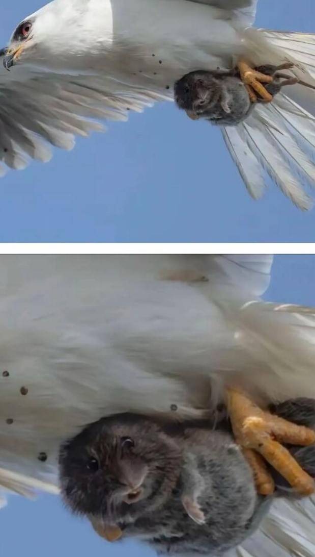 3DMһ̵1571 ﳵֻôĵӰ