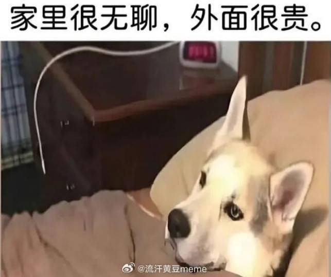 3DMһ̵1571 ﳵֻôĵӰ