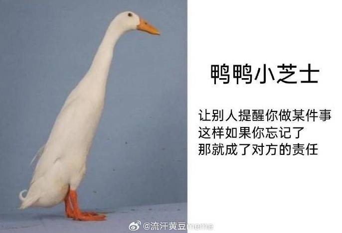 3DMһ̵1571 ﳵֻôĵӰ