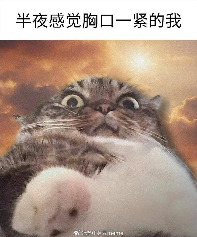 3DMһ̵1571 ﳵֻôĵӰ