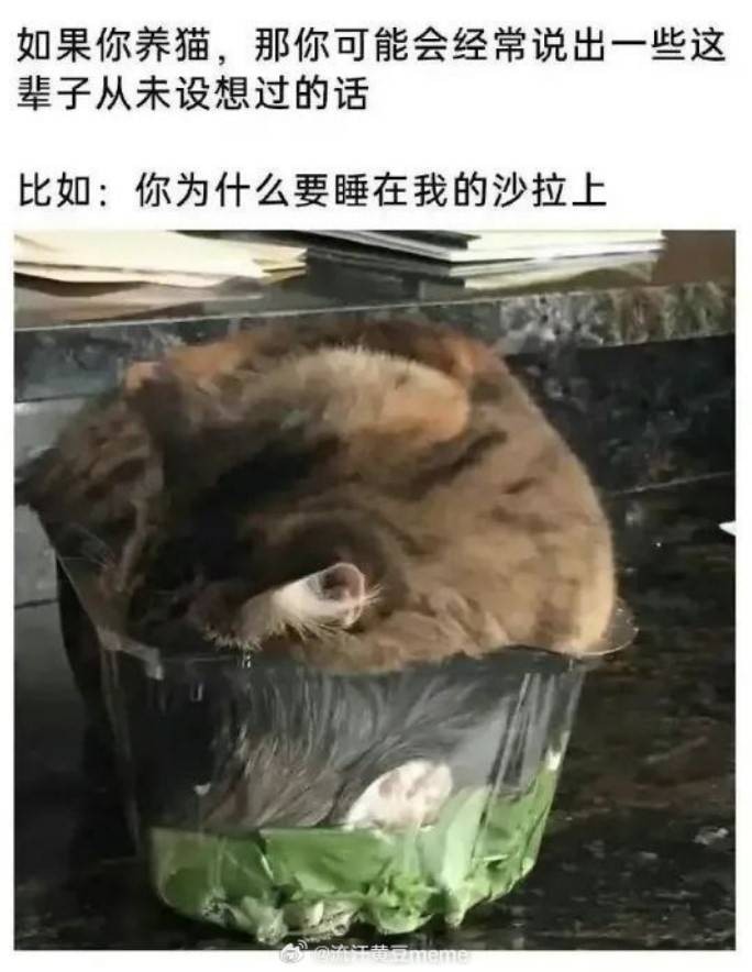 3DMһ̵1571 ﳵֻôĵӰ