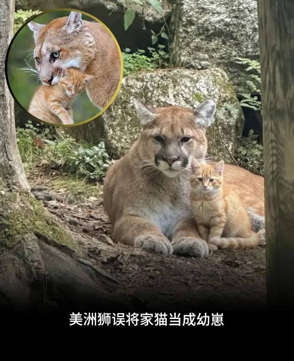 轻松一刻第1572期 当美女遇到另一美女会如何