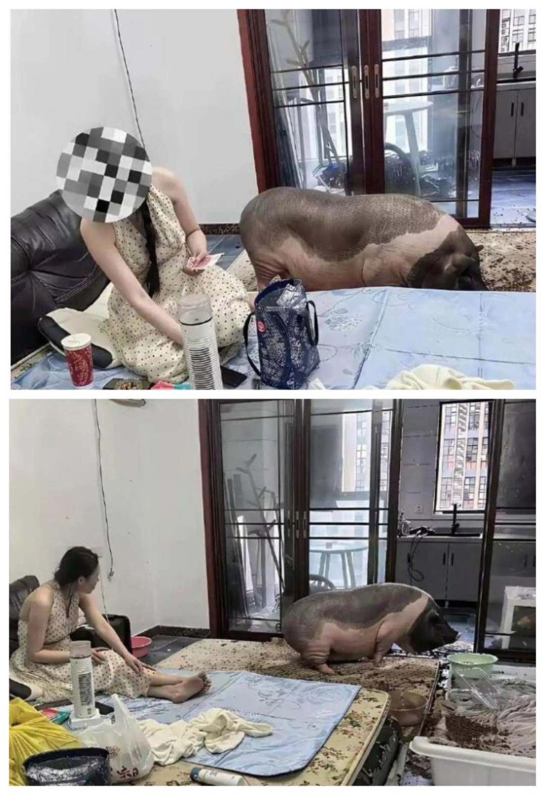 周一内涵囧图云飞系列 美女你射箭射的真不赖啊！