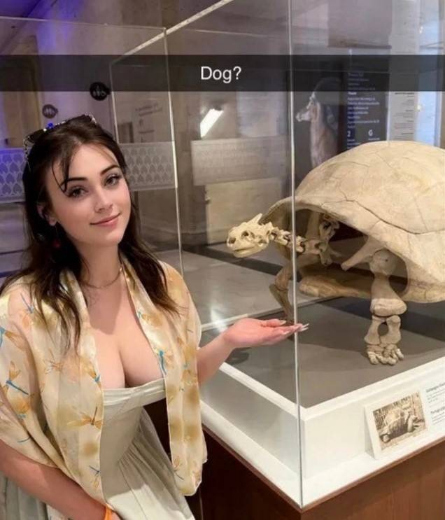 轻松一刻第1573期 健身的人基本上都会自拍哟