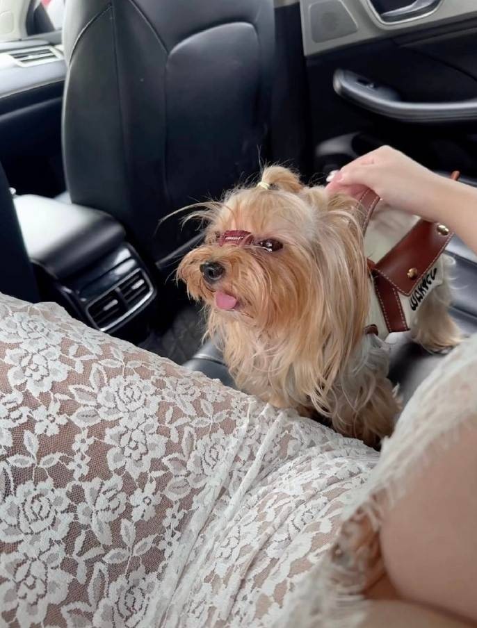 3DM轻松一刻第1573期 健身的人基本上都会自拍哟