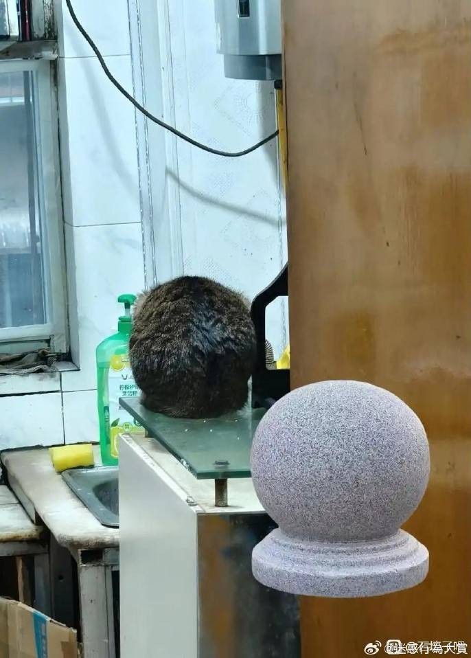 3DMһ̵1575 ̫˱ֲϢ