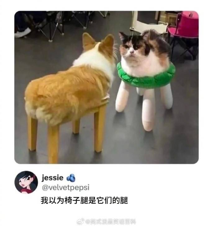 3DMһ̵1575 ̫˱ֲϢ