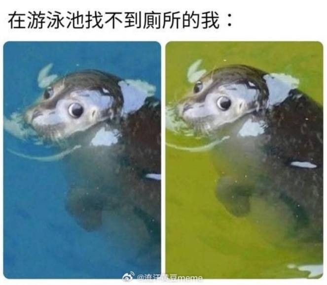 3DM轻松一刻第1576期 天气很冷而姑娘穿得如此少