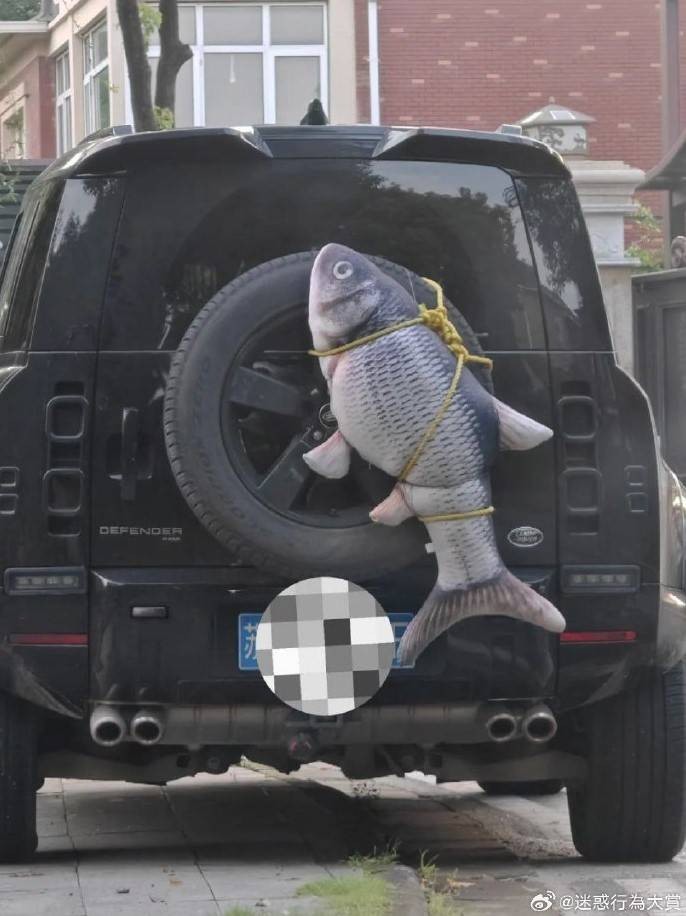 3DM轻松一刻第1576期 天气很冷而姑娘穿得如此少