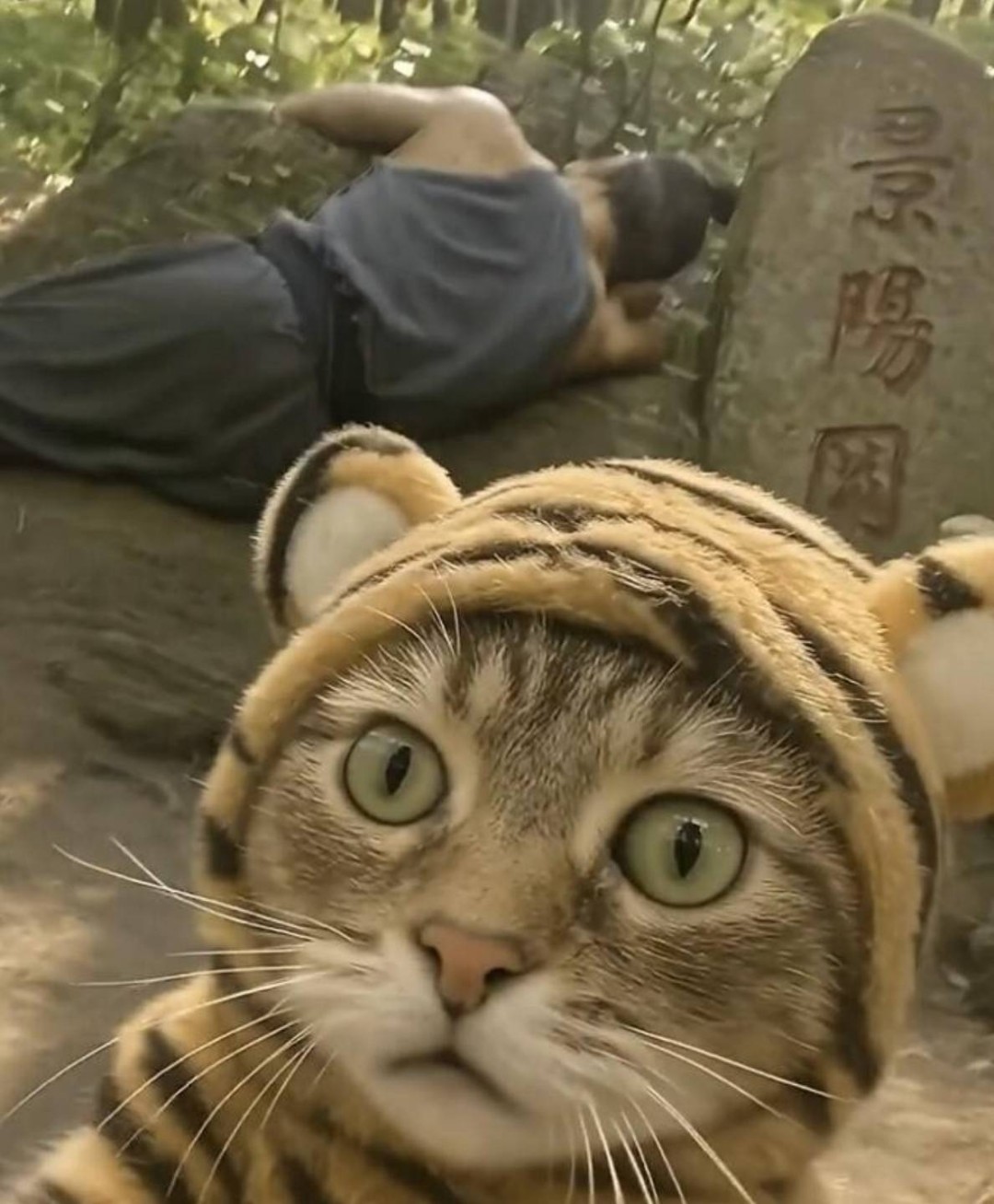 周五福利囧图云飞系列 快来跟美女一起做健美操！