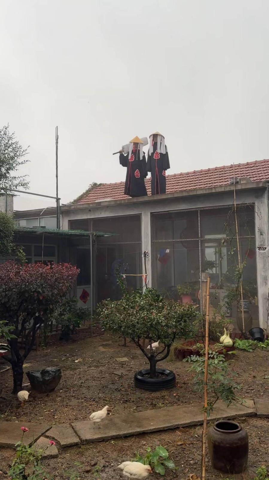 周五福利囧图云飞系列 快来跟美女一起做健美操！