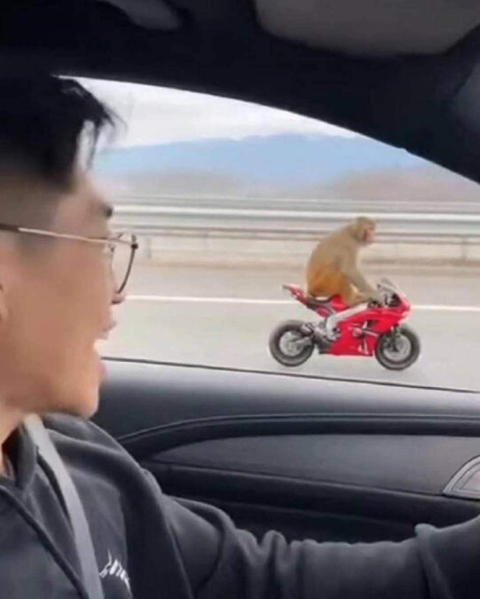 周五福利囧图云飞系列 快来跟美女一起做健美操！