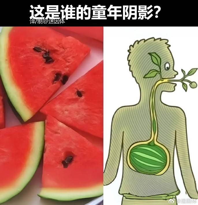 3DM轻松一刻第1577期 妹子穿成这样打台球秀球技？