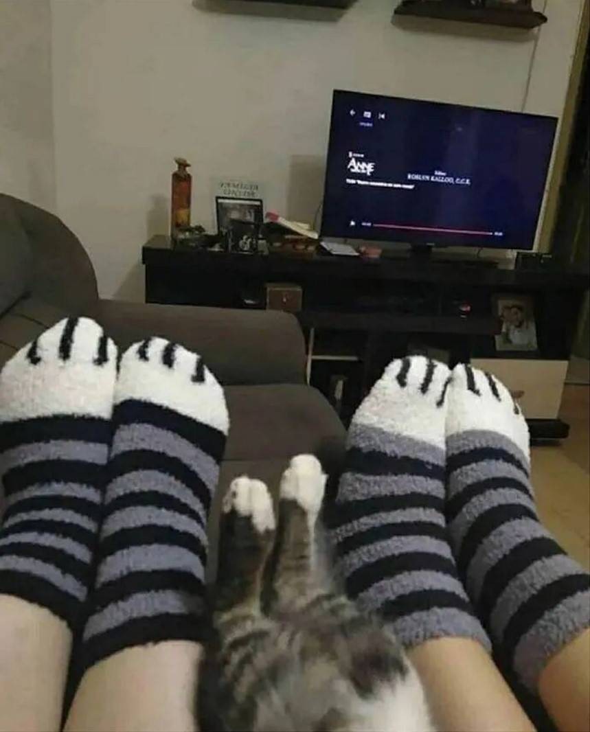 周一内涵囧图云飞系列 美女虽然微胖但是耐看啊！