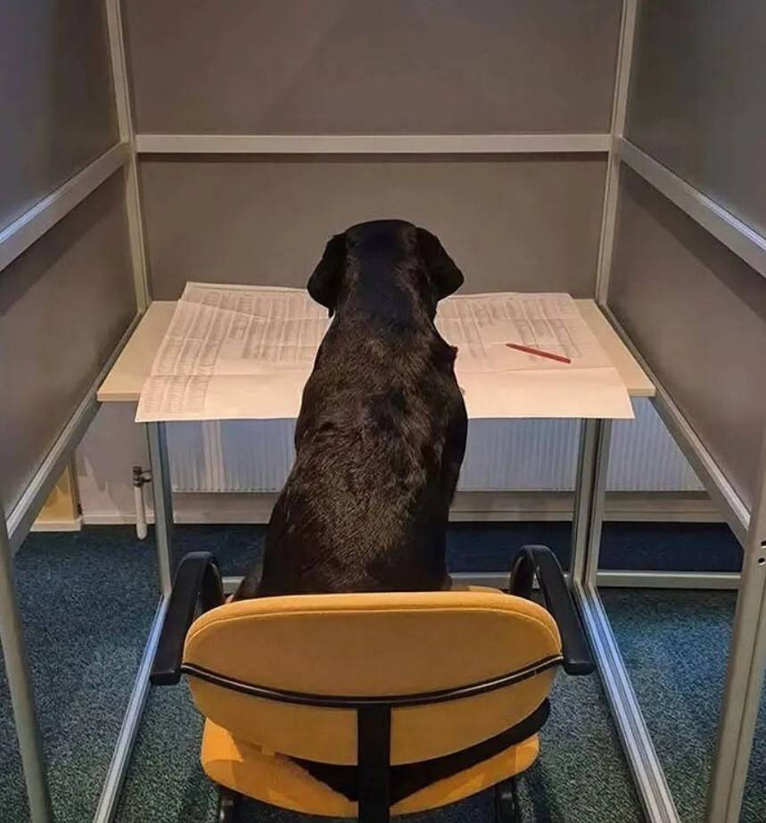 周一内涵囧图云飞系列 美女虽然微胖但是耐看啊！