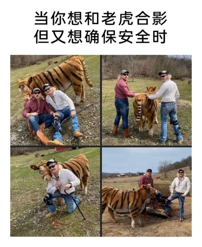 3DM轻松一刻第1578期 还是护士装看上去比较正式