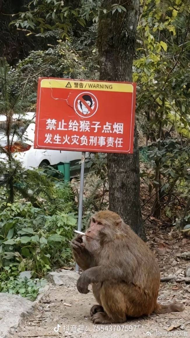 3DMһ̵1578 ǻʿװȥȽʽ